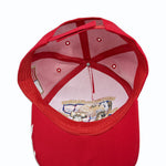 USA 250th Anniversary 1776-2026 Baseball Cap